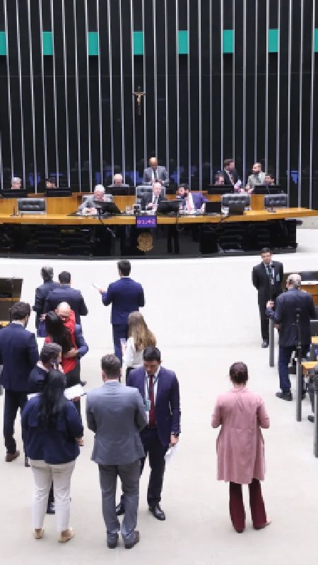 Projeto quer incluir serviços veterinários em redução de 60% de IBS e CBS
