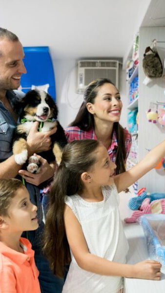 Número de negócios no setor pet em SP dobra em 5 anos