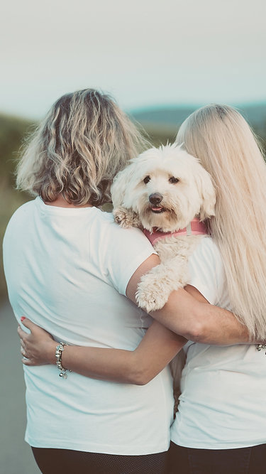 Nova lei regulamenta guarda compartilhada de pets após separação de casais