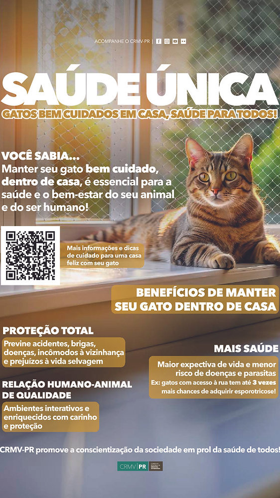 CRMV-PR promove Campanha sobre cuidados essenciais para conter a esporotricose