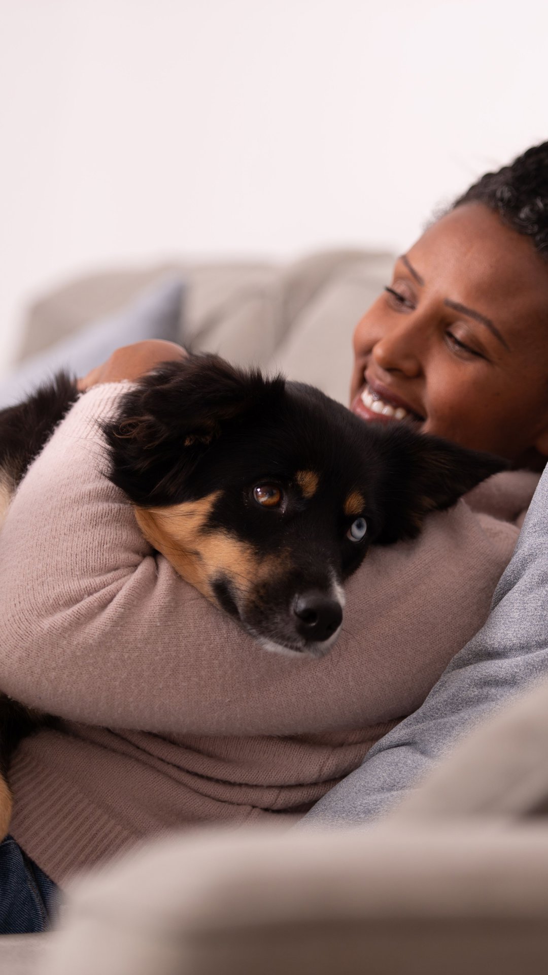 Pessoas preferem vínculo com cães ao de amigos, diz pesquisa
