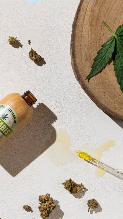 CBD avança como terapia complementar para cães com epilepsia