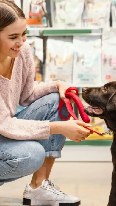 Varejo reposiciona categoria pet com alta demanda por produtos premium