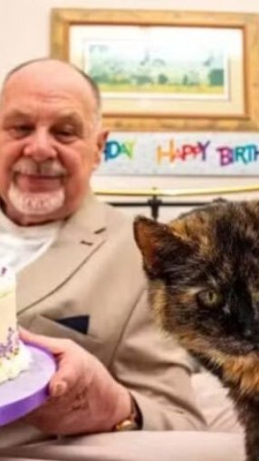 Aos 31 anos, gata pode conquistar título de mais velha do mundo no Guinness