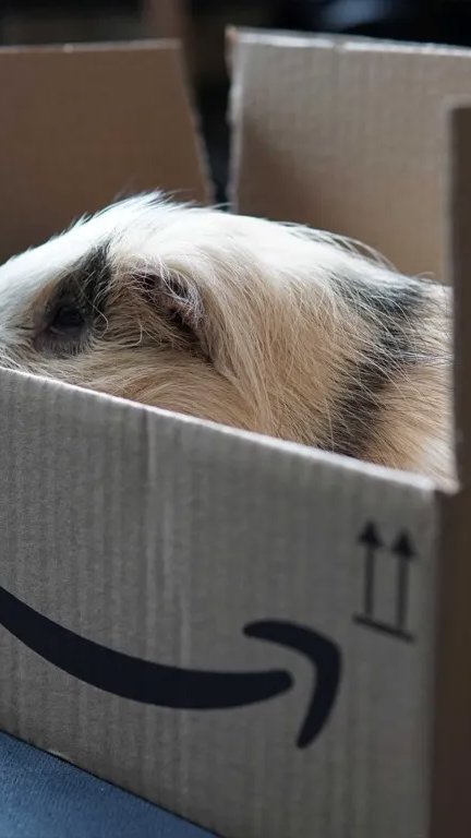 Amazon cria rede de logística para atender empresas