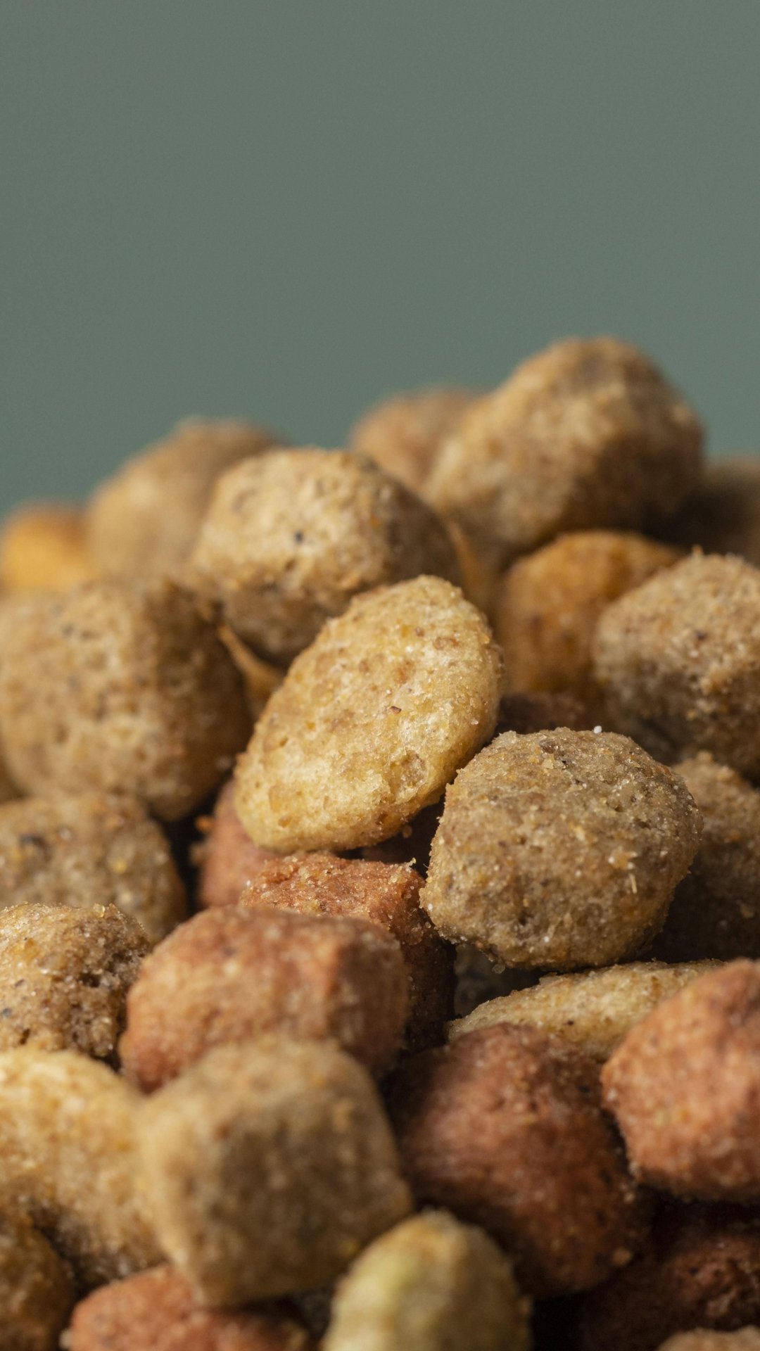 Demanda por dietas funcionais para cães cresceu 20% em um ano, diz pesquisa