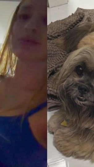 Disparos contra cão de vizinho: influenciadora causa revolta após publicar vídeos em SC