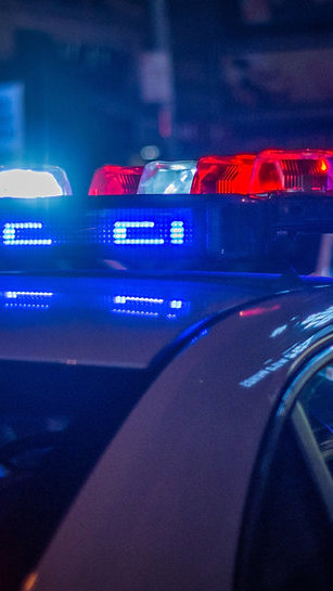 Cena de horror no Centro do Rio: polícia resgata 14 cães e prende homem por maus-tratos