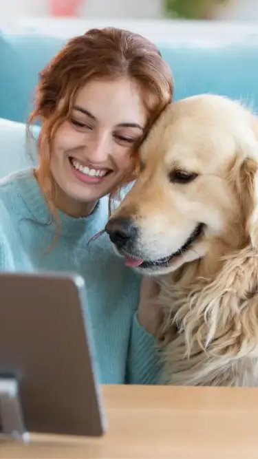 Comparador de preços quer ampliar visibilidade de pet shops
