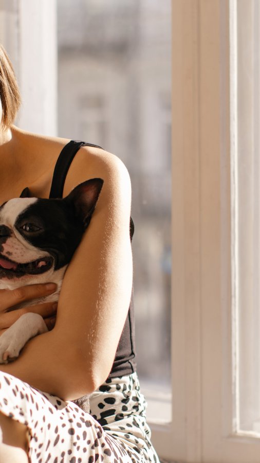 A Lei de Bem-Estar Animal proíbe que donos de cães e gatos coloquem os animais de estimação em situações de sofrimento; entenda