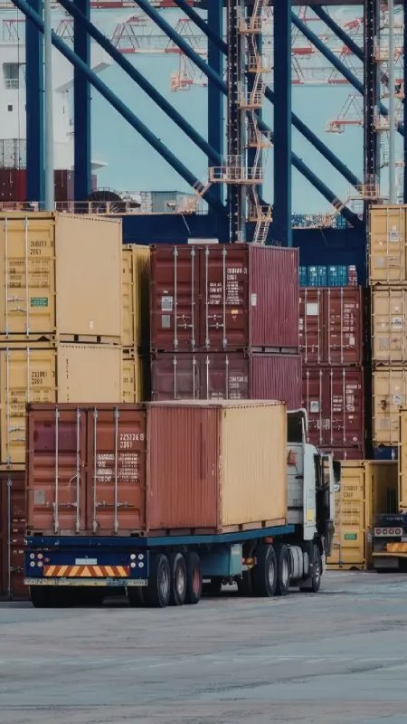 Exportações pet crescem 12% e ampliam presença global do Brasil