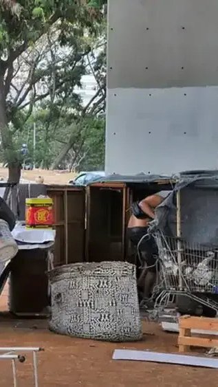 MG aprova lei que permite entrada de moradores de rua com pets em abrigos