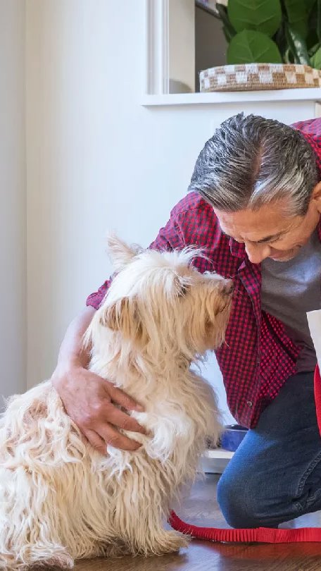 Farmácias descobrem o filão pet e setor atrai também a CVS