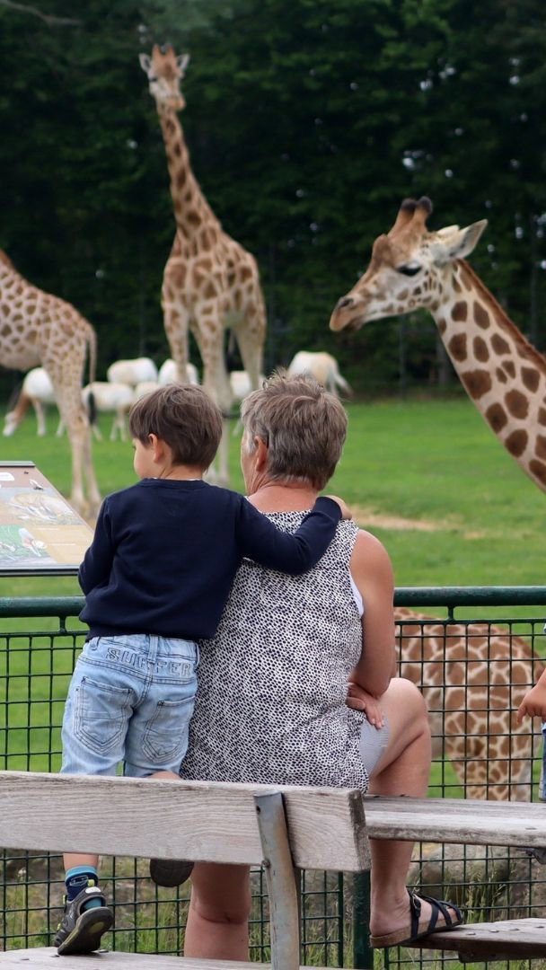Zoológico na Dinamarca pede doação de pets para alimentar predadores