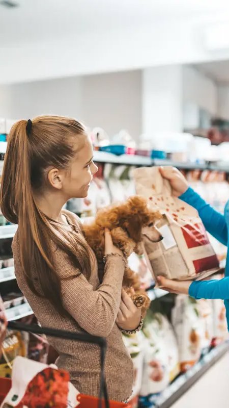 Confira 5 KPIs essenciais para empresas do mercado pet