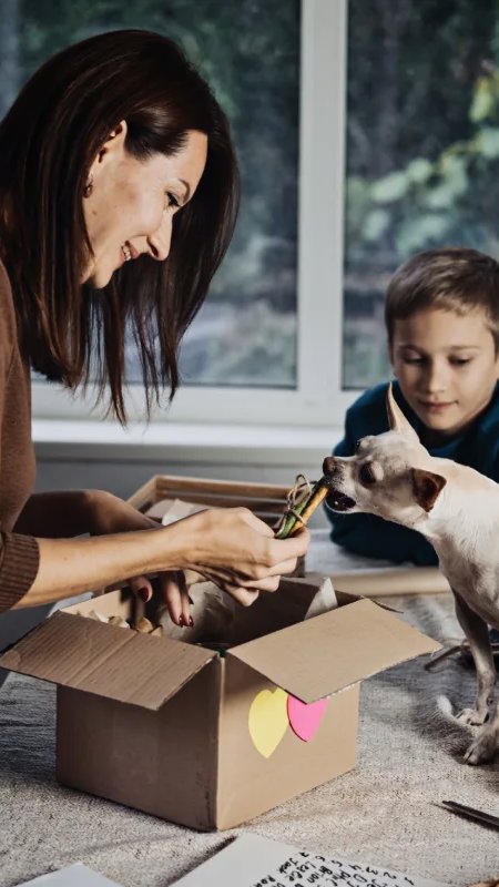 Ração e produtos pet avançam no mercado brasileiro de assinaturas
