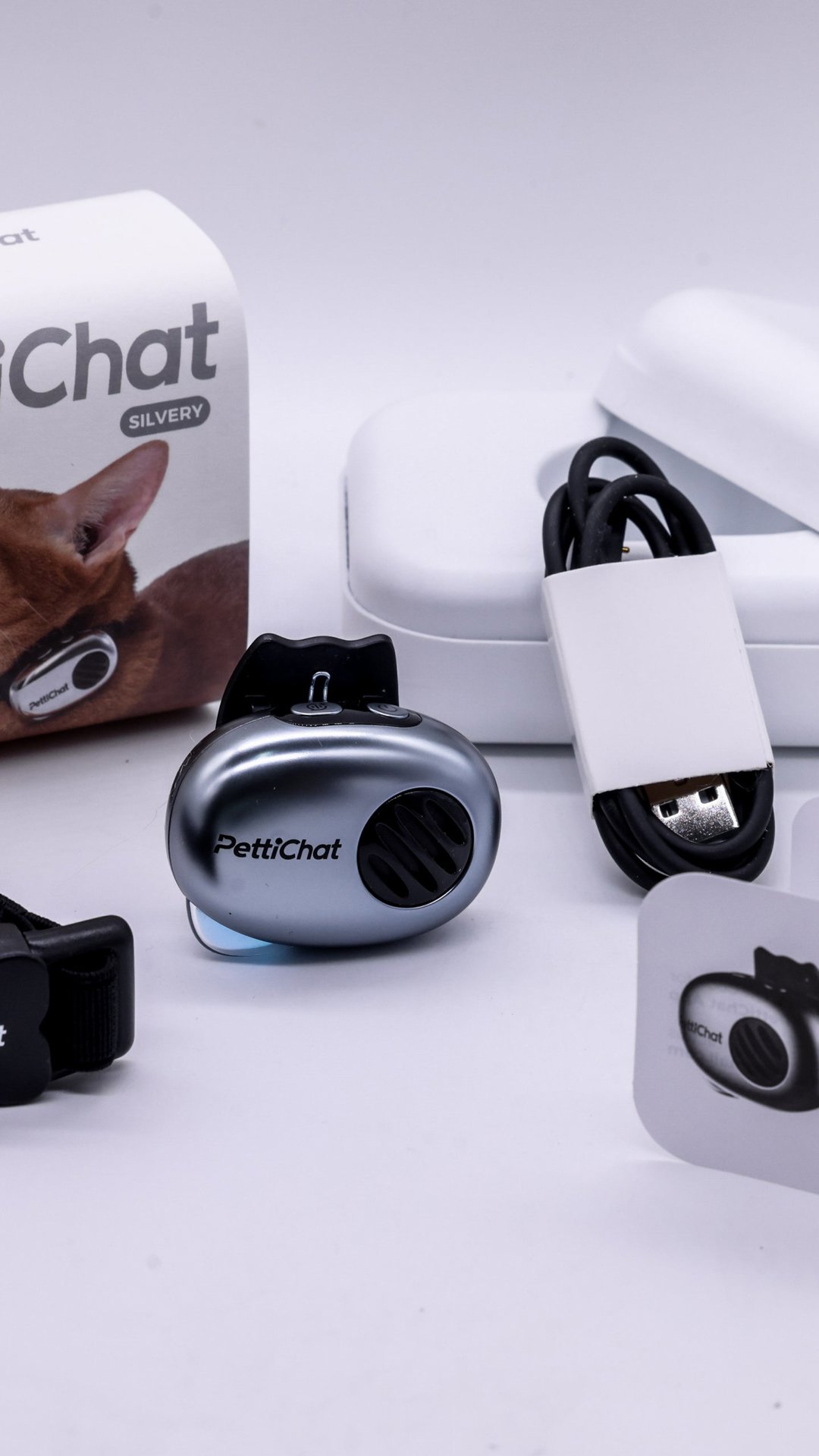 Startup chinesa lança coleira que traduz sons de cães e gatos