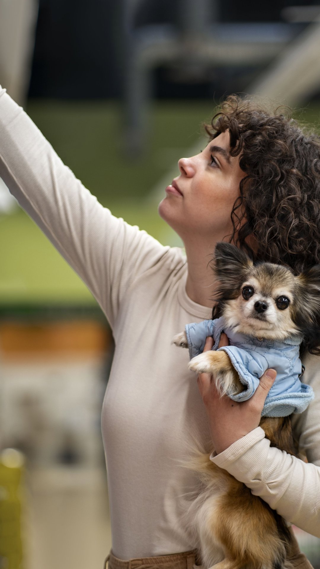 Inverno exige atenção redobrada e check-ups preventivos para cães e gatos