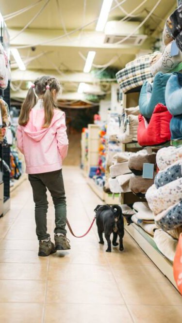 Brasil ganha 8 mil estabelecimentos do mercado pet em 2024