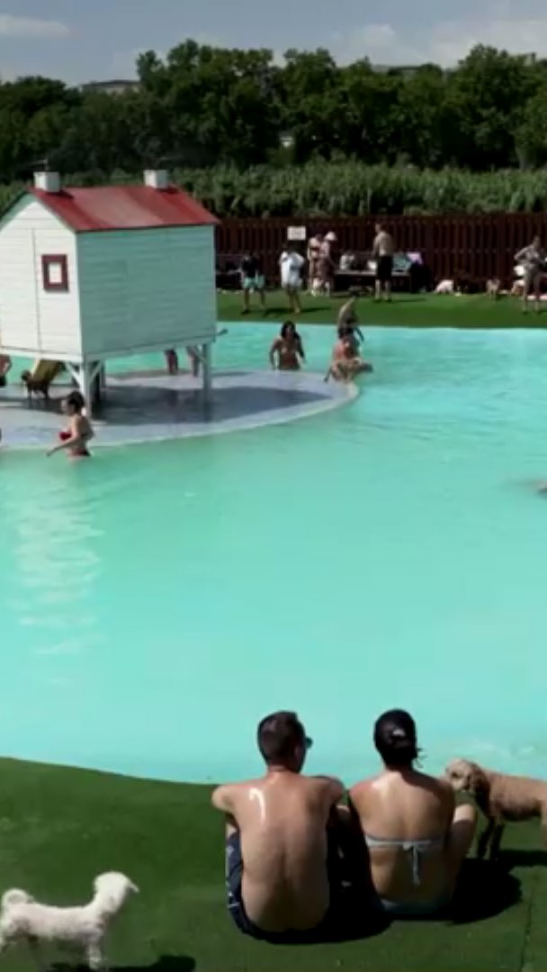 Donos levam cães a parque aquático na Espanha para fugir do calor