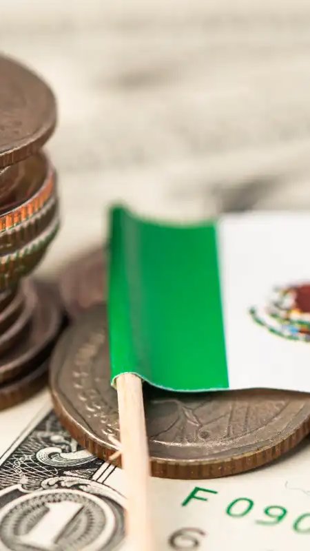 Mercado de pet food do México acompanha crescimento do país