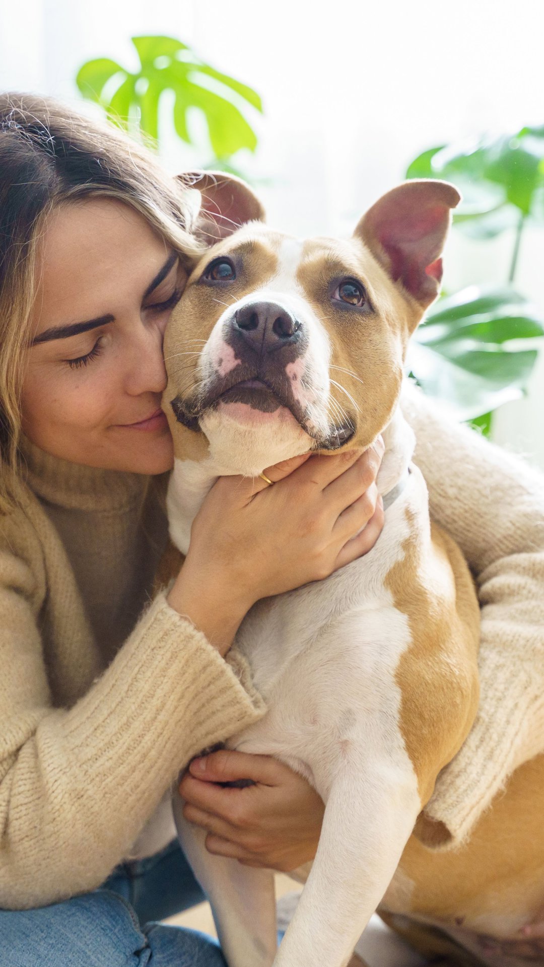 Pets: pesquisa aponta que 80% dos animais nos lares do Brasil são adotados