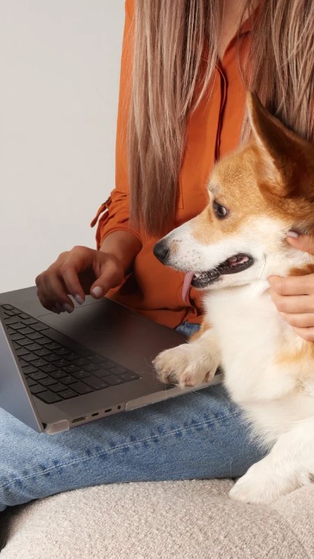 Nova tarifa da UE pressiona e-commerce de produtos pet de baixo valor