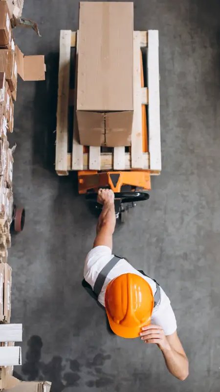 Distribuição ganha protagonismo com mercado pet mais competitivo, avalia executivo