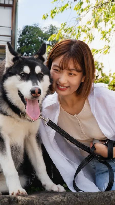 Coreia do Sul proíbe carne canina e vê aumento da população pet