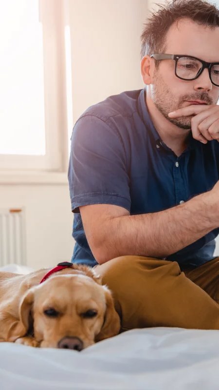 Reclamações no setor pet aumentam 17% em um ano