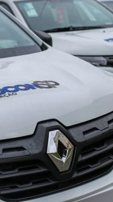 Operação do Procon-SP encontra irregularidades em quase metade dos pet shops fiscalizados
