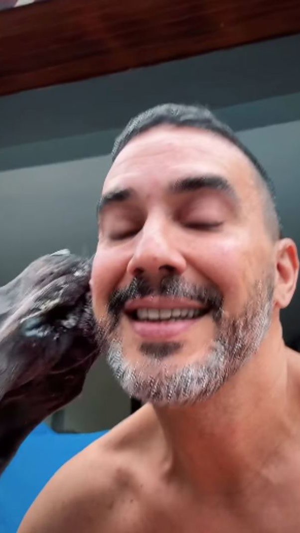 André Marques chora ao falar sobre cachorras: "Só querem companhia e amor"