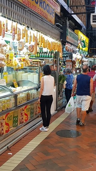 BH sanciona lei que proíbe venda de animais vivos em locais turísticos