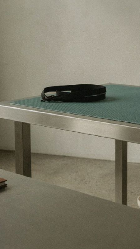 Morte de cão reascende discussão sobre responsabilidade de clínicas e pet shops