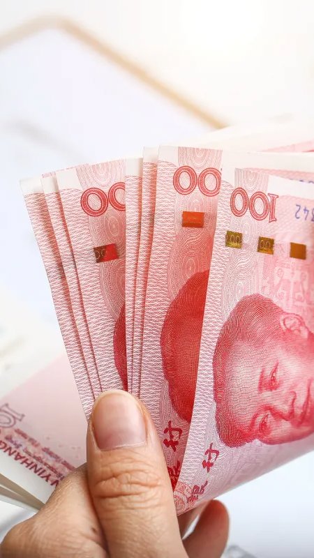 Mercado pet da China tem mais um recorde
