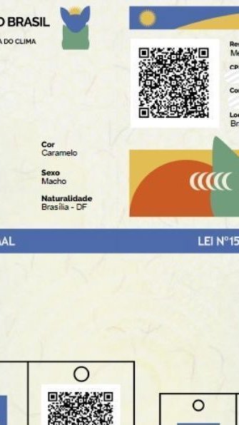 RG dos pets: como fazer e para que serve