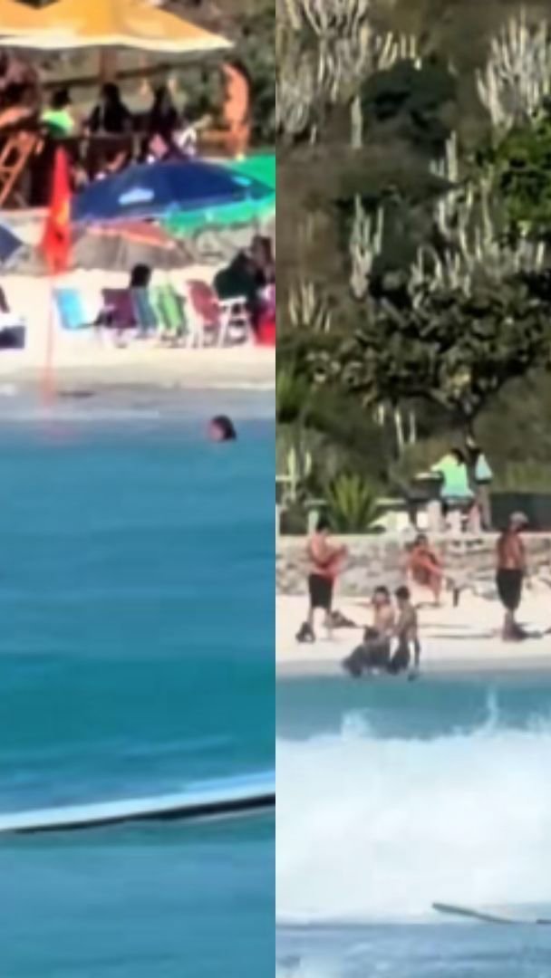 Cachorro surfista é visto pegando onda com tutor em praia no Rio de Janeiro