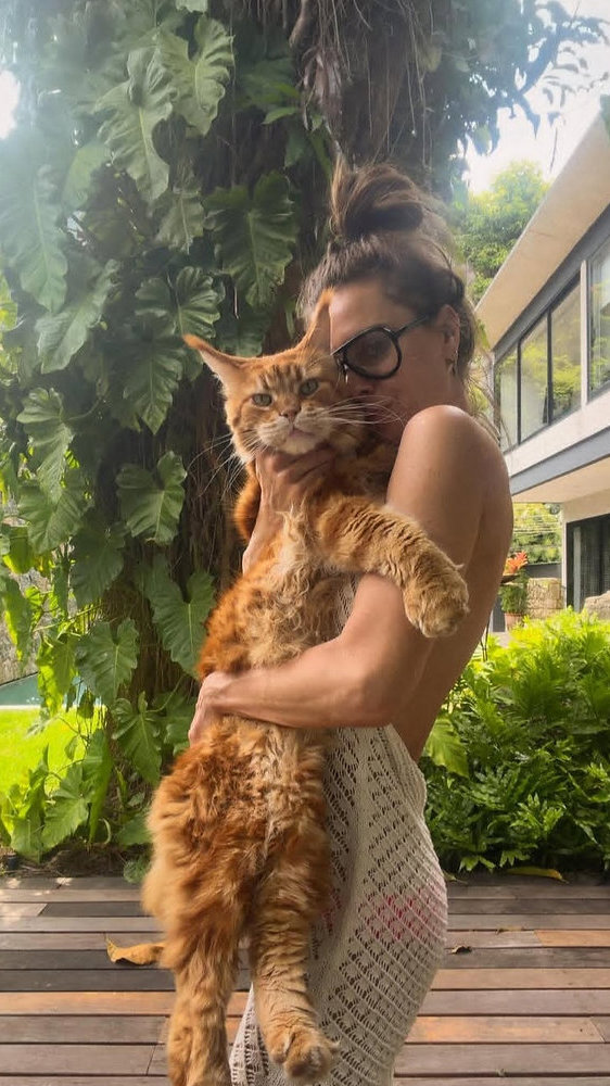 Carolina Dieckmann surge ao lado de gato gigante e tamanho do pet impressiona seguidores: “Quase do seu tamanho”