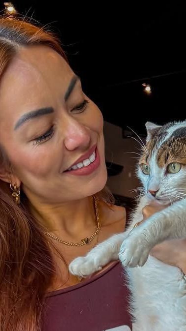 Gato Taurinho: como funciona o instinto de gatos para proteger um ao outro