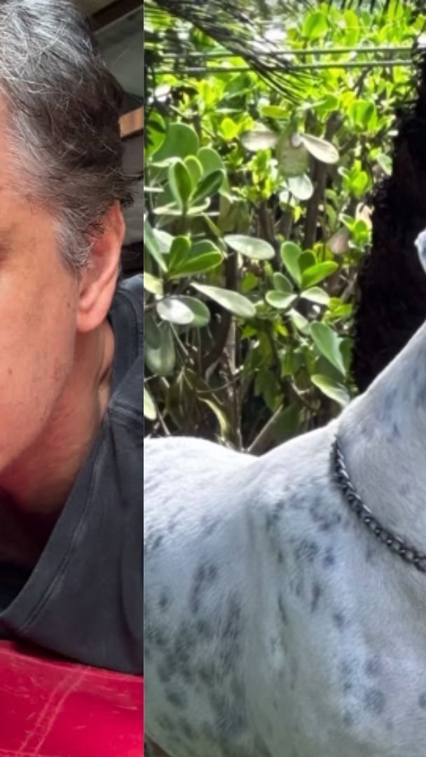 Marcio Garcia chora ao anunciar morte do cãozinho da família; veja vídeo