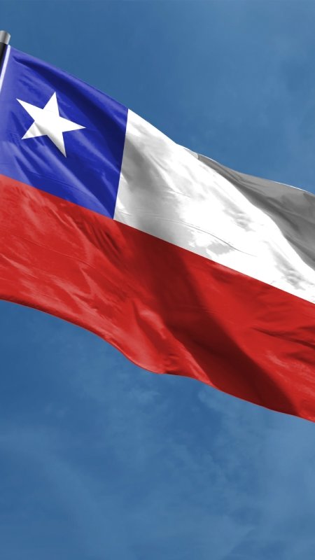 OMS reconhece o Chile por controle de raiva transmitida por cães