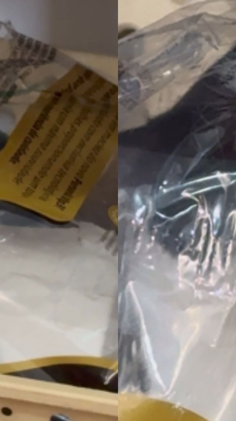 Gatinha some dentro de casa e é encontrada escondida dentro de pacote de papel higiênico