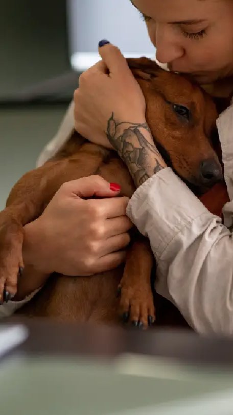 Um em cada dez tutores já troca o veterinário pela inteligência artificial