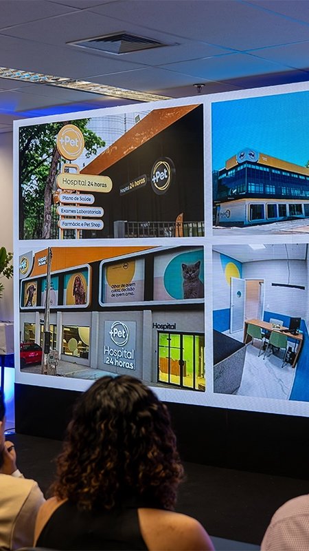 Programa do Grupo +Pet prepara veterinários para a gestão empresarial