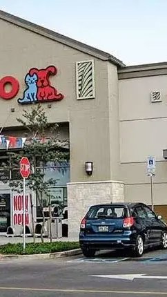 Petco reforça transformação do pet shop em plataforma de cuidados