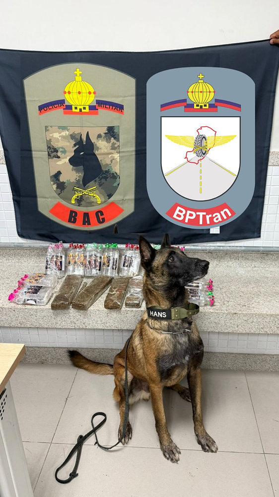 Cães farejadores ajudam PMES a localizar drogas e lança-perfume durante operação em Vitória