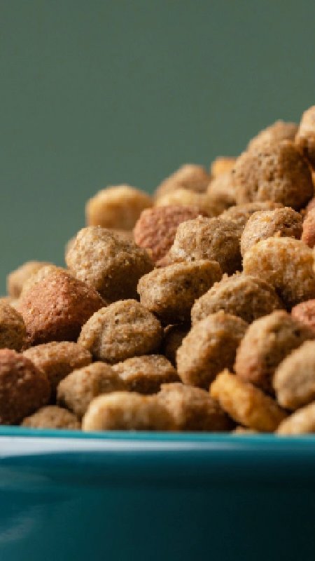 Alta dos preços de pet food atinge recorde nos EUA