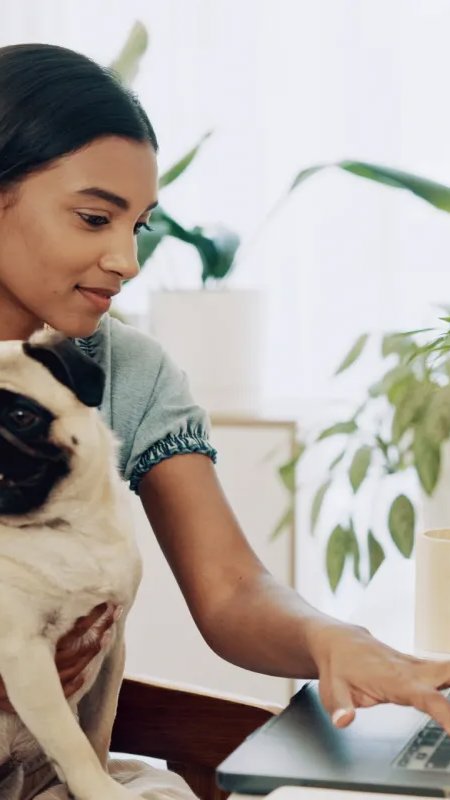 E-commerce pet obtém faturamento recorde de R$ 6 bilhões