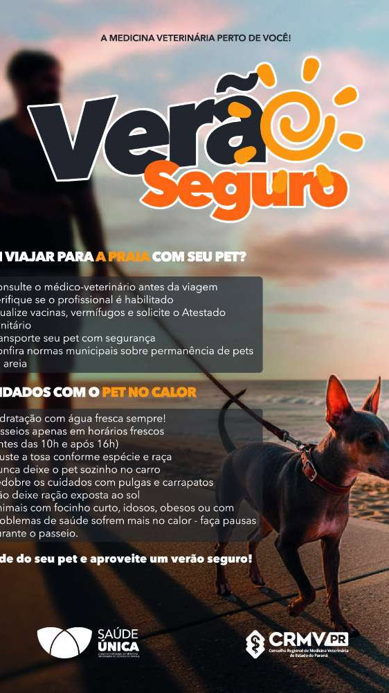 Campanha “Verão Seguro” do CRMV-PR alerta para os riscos do calor excessivo e reforça cuidados com a saúde dos pets