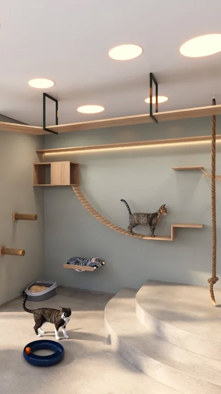 Segmento pet estimula projetos imobiliários de luxo